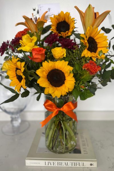 sunshine bloom sunshine bloom